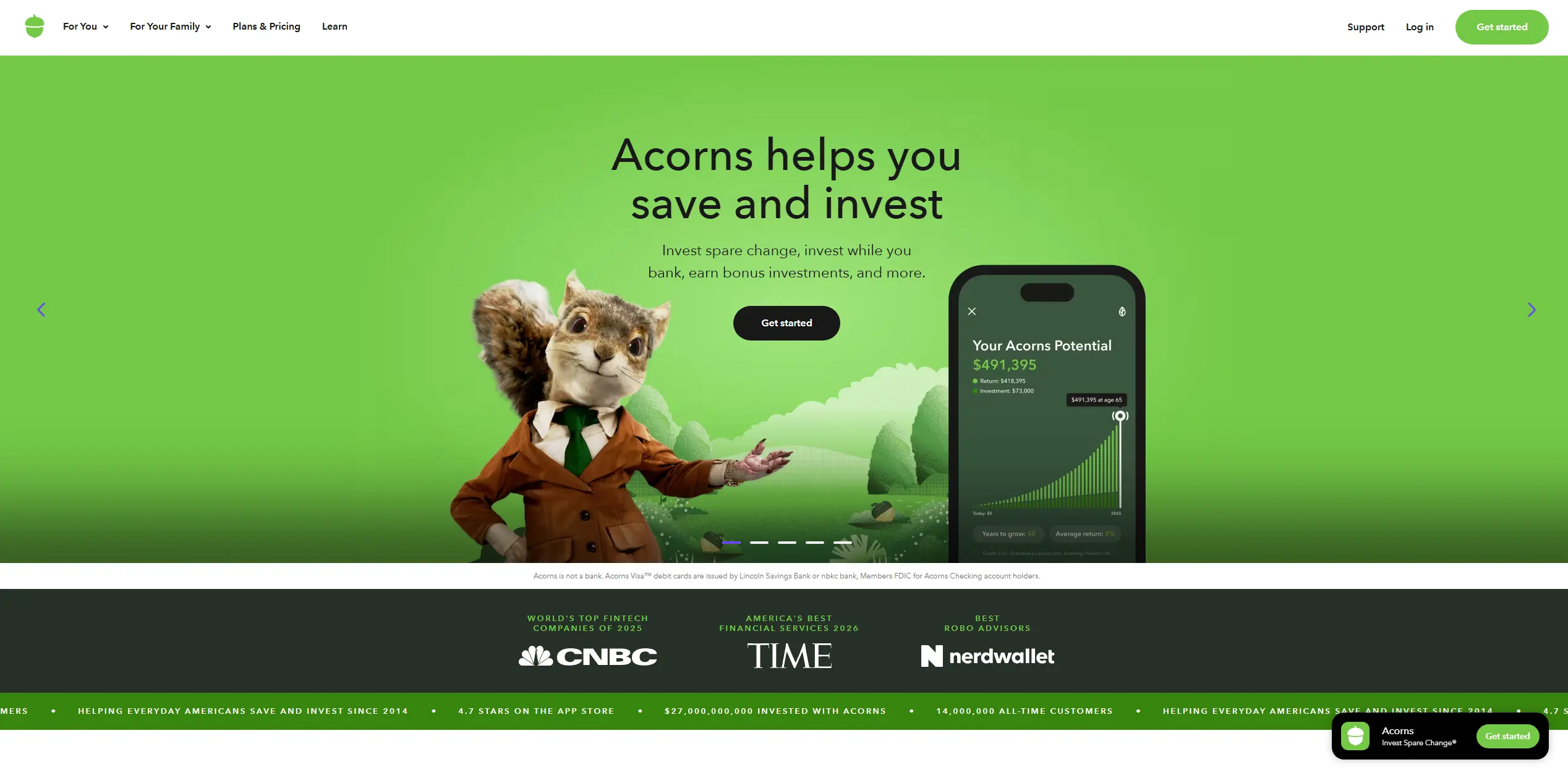 acorns